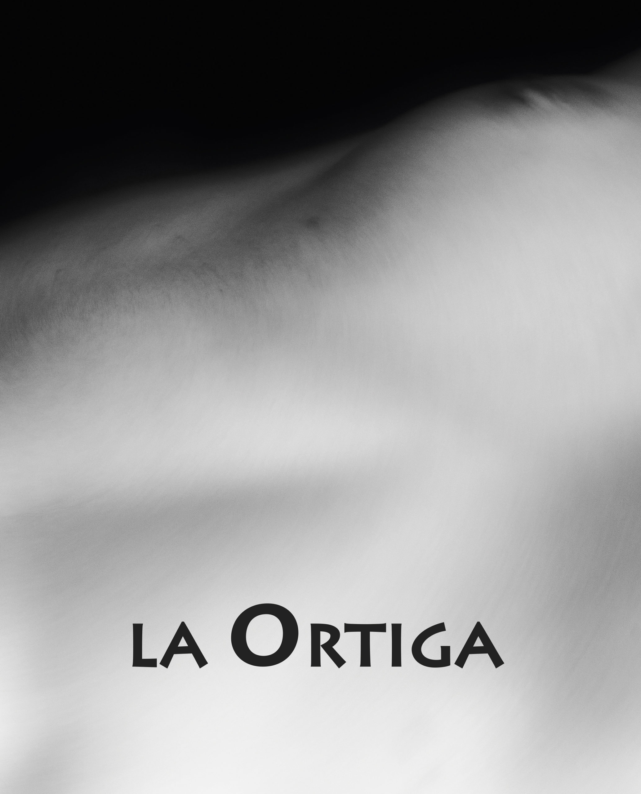 Revista La Ortiga 133 - XXV aniversario