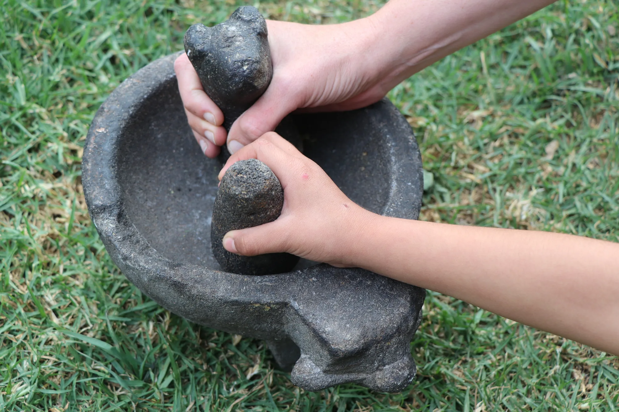 Accion Manos con molcajete - Colectivo En Giro y a la olla