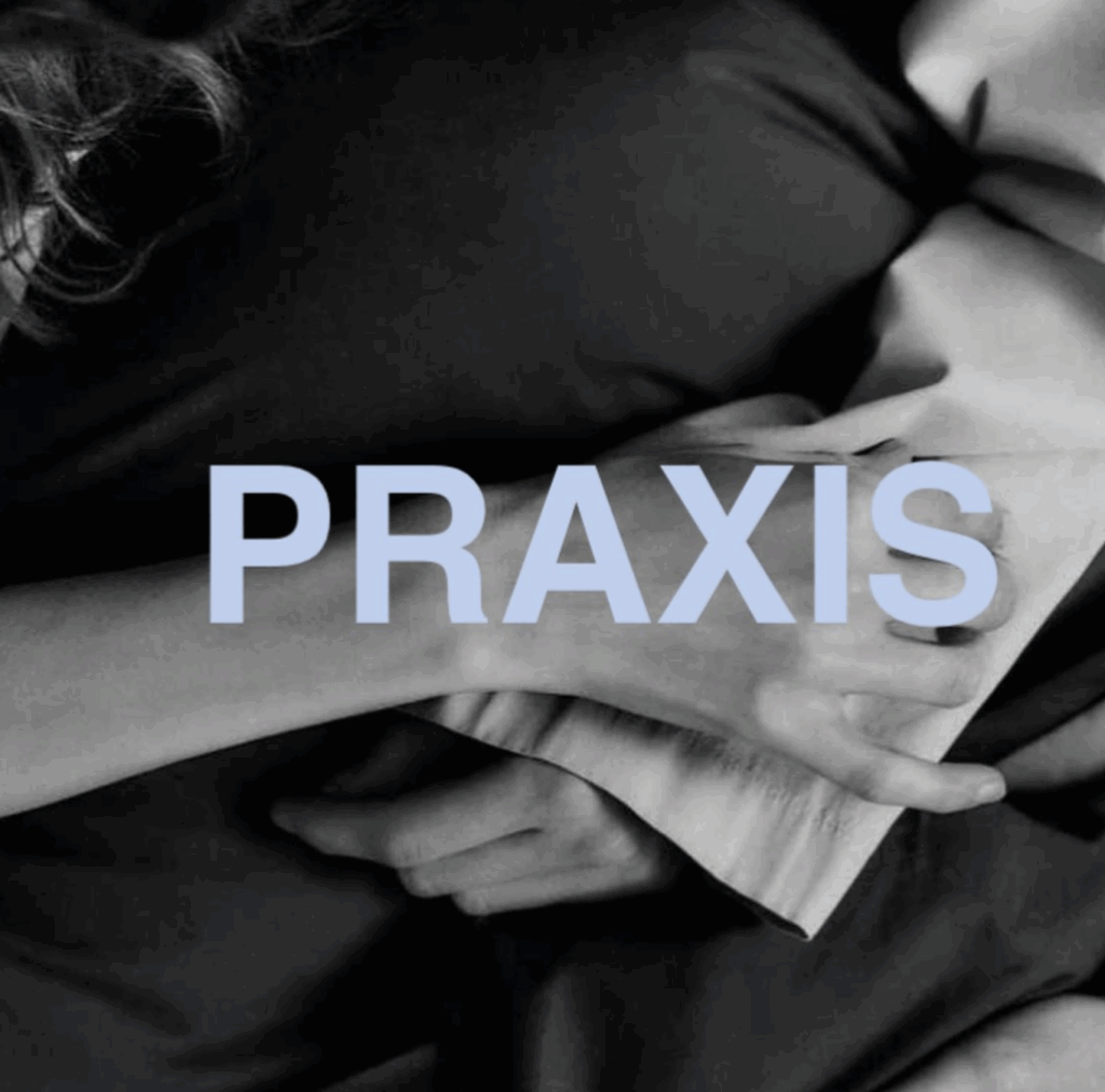 Te invitamos al paseo de nuestro club de lectura que tendrá lugar el próximo miércoles 4 de junio a las 18:30h.  Participamos por segundo año en el equipo docente de PRAXIS.